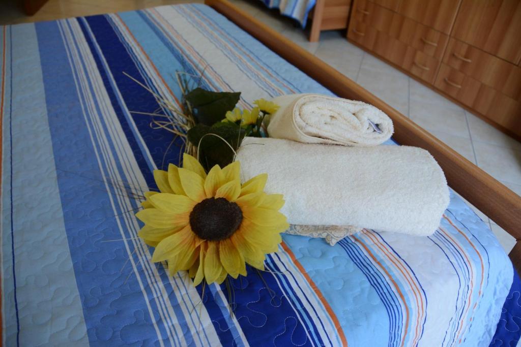 B&B Casabella Riposto Chambre photo